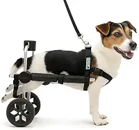 Cadeira de Rodas para Cachorro Tamanho P Pequeno Pet Best Soluções BasicLine