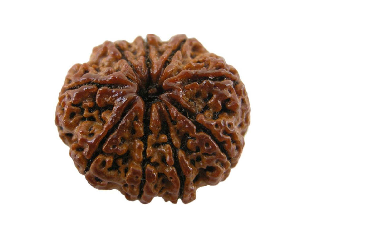 See full amazon price history chart for 9 Mukhi Rudraksha Original Certified Nepali नव मुखी रुद्राक्ष Nine Face Rudraksha Nau Mukhi Rudraksha Blessed by Durga 9 Mukhi Rukdraksha by RudraGallery 9 Mukhi Rudraksha Original Certified Nepali नव मुखी रुद्राक्ष Nine Face Rudraksha Nau Mukhi Rudraksha Blessed by Durga 9 Mukhi Rukdraksha by RudraGallery (B0CLJ1QJD1) Amazon Price History, Amazon Price Tracker