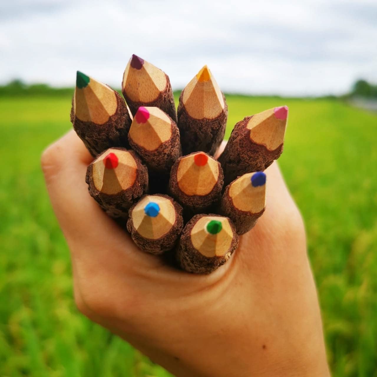 NUTTA - ASSORT COLORED, Branch & Twig Pencil, 12-PCs, Natural Wooden Pencils Wood Tree Rustic Twig Pencils Fun Pencil for Children and Family Handmade Craft DIY Decorate Room Decor Party (7" Inches)