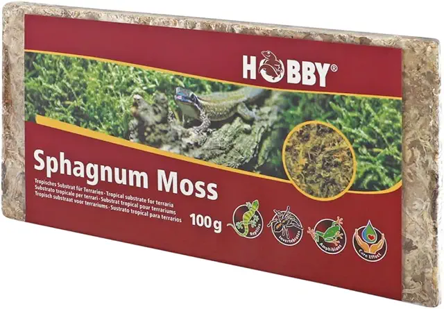 Hobby Terraristik Sphagnum Moss I 100 g I Tropical Substrate for Terrariums and Orchids I Moss for Terrariums I 100% Natural and without Chemical Additives I Moss to Increase Humidity