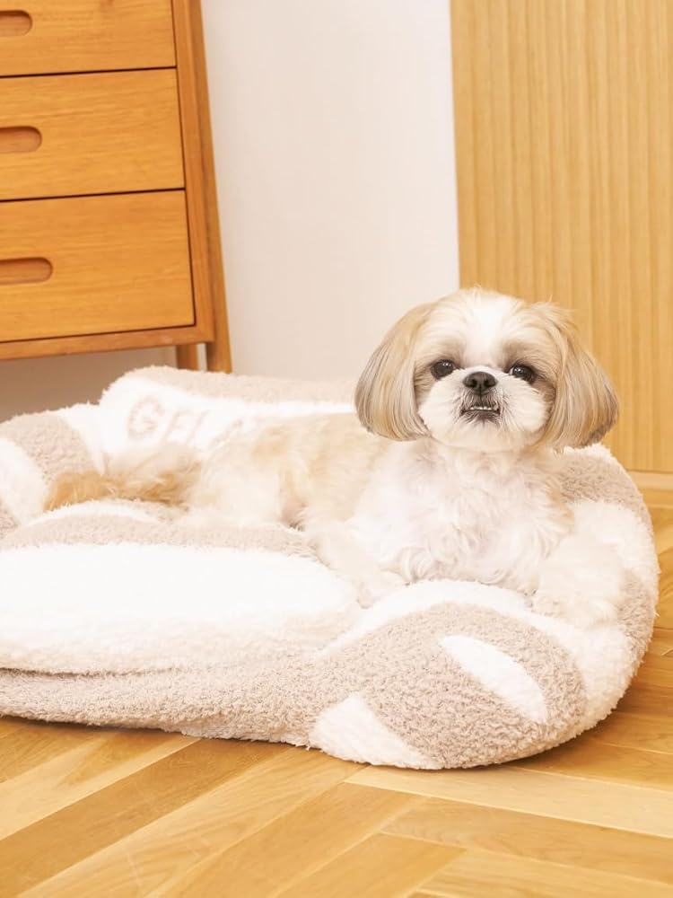 Amazon.co.jp: [ジェラートピケ キャットアンドドッグ]【CAT&DOG