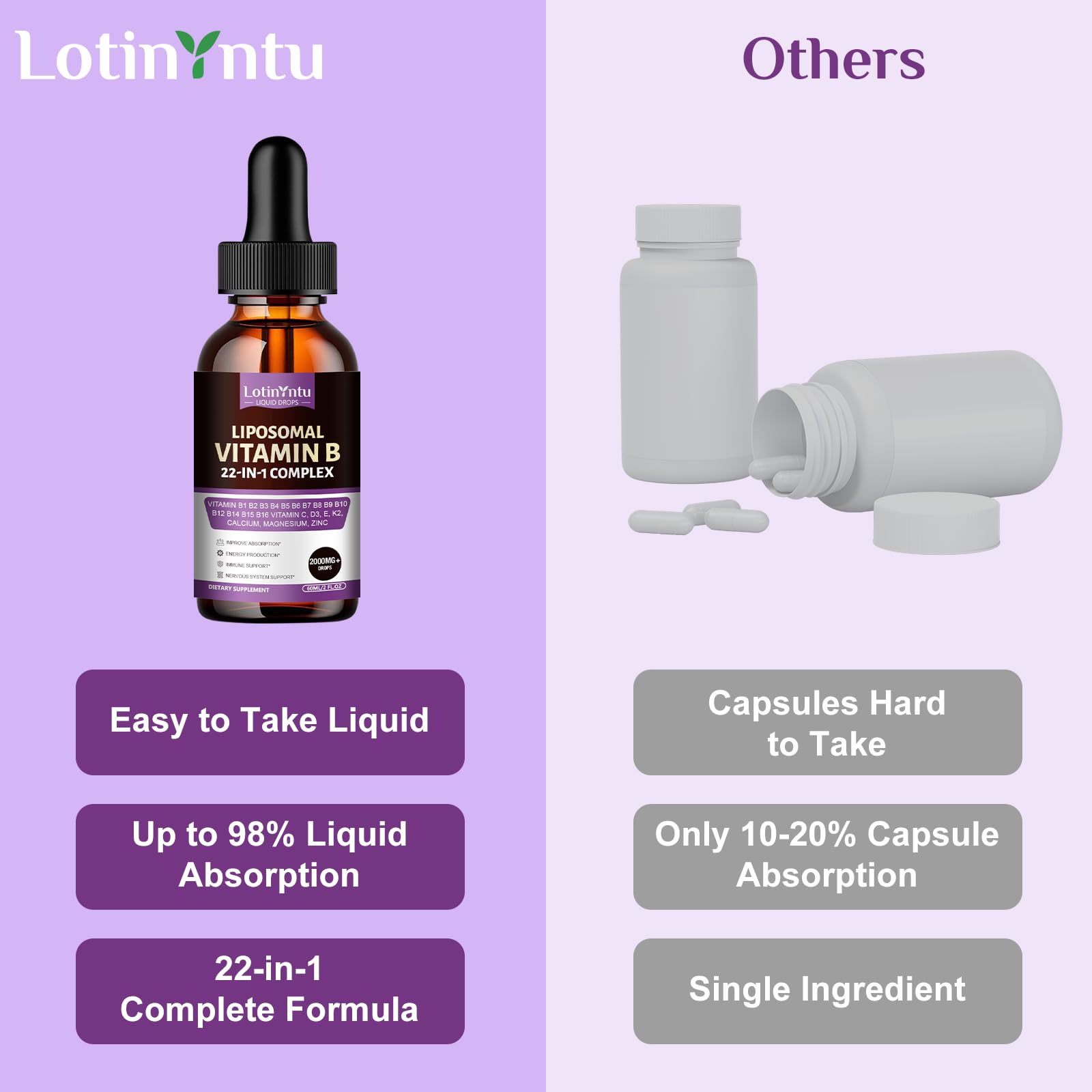 2 Pack 22-in-1 Vitamin B Complex 2000MG Sublingual Liquid Drops, B1,B2,B3,B5,B6,B7,B8, B9,B10,B12 Methylcobalamin, B14, B15, B16, Vitamin C, D3,K2, Maximize Absorption, Immune & Energy Metabolism — Amazon image 6