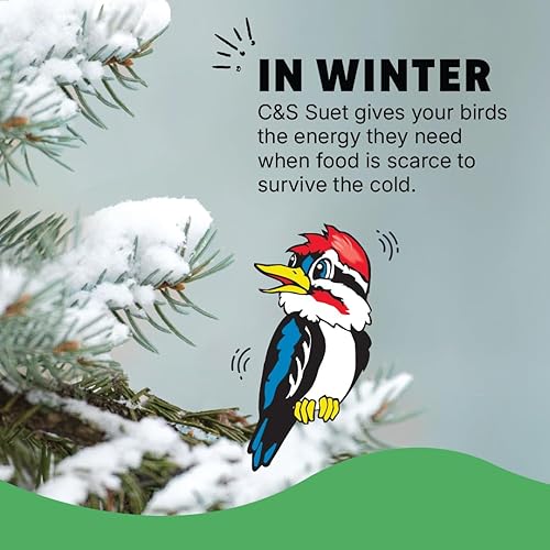 Miniatura 11 de C&S Wild Bird Bluebird Seet Nuggets Mega Box, 8 libras