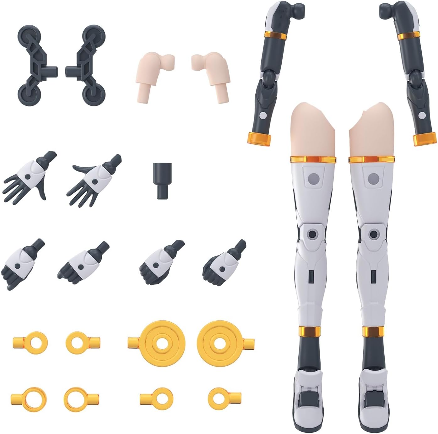 BANDAI Spirits 30MS Optional Parts Set 19 (Dash Unit) [Color A] Color Coded Plastic Model