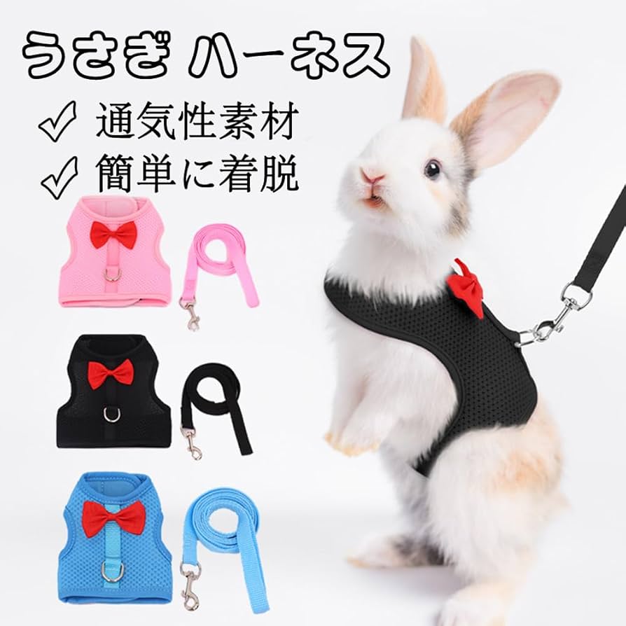 うさぎモルモット等小動物用用品セット Amazon | Hitasi ウサギ ハーネス うさぎ ハーネス リード