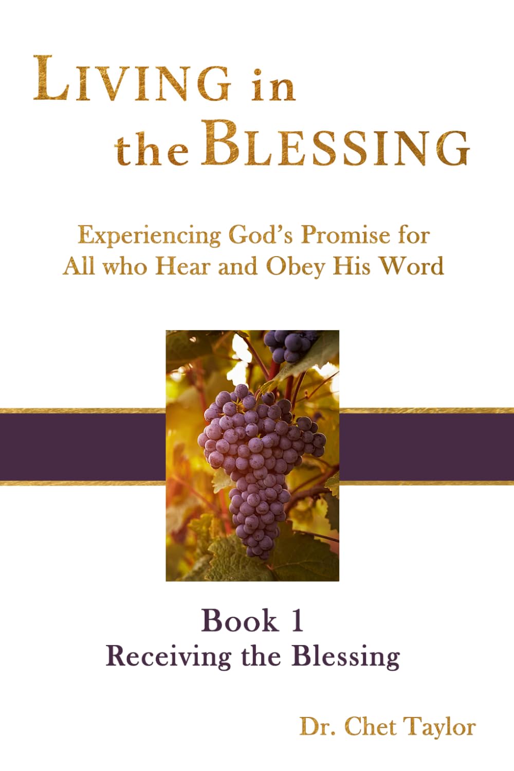 Book 1: Receiving the Blessing (Living in the Blessing: Experiencing God's Promise for All who Hear and Obey His Word)