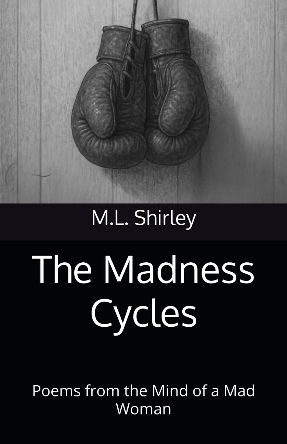 The Madness Cycles: Poems from the Mind of a Mad Woman (Lost in Madness)