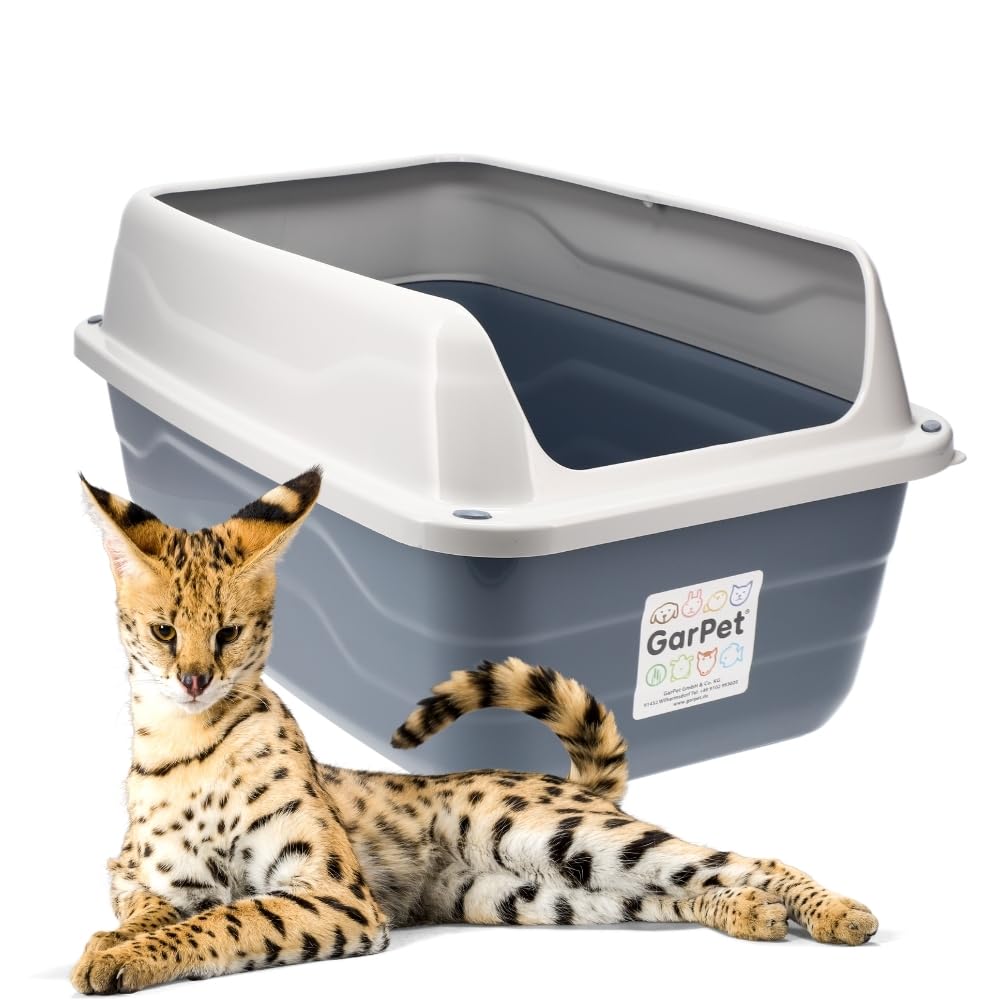 GarPet XXL Extra hohe Katzentoilette