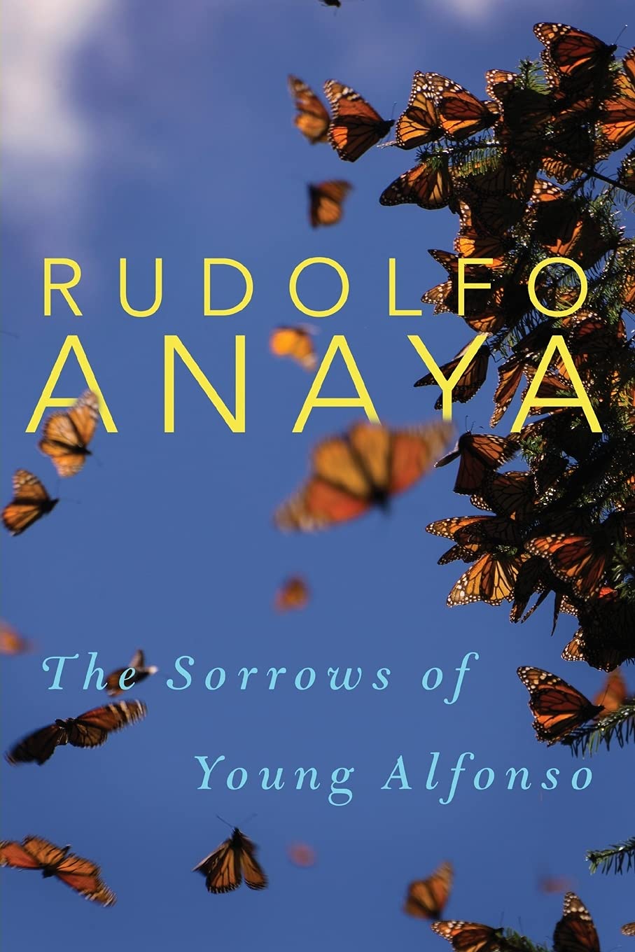 The Sorrows of Young Alfonso: Volume 15 (Chicana and Chicano Visions of the Americas Series)