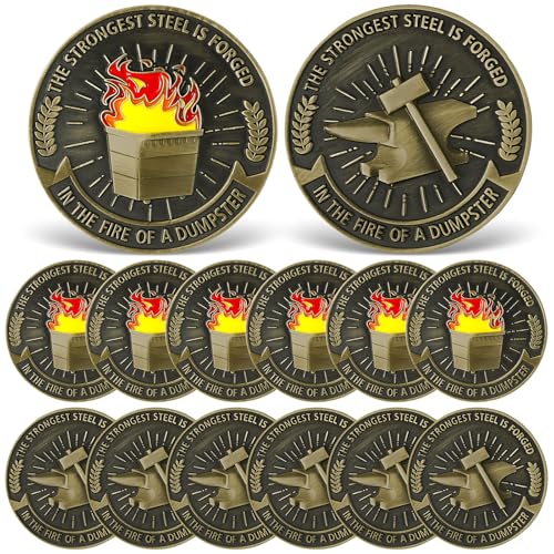 Landical 12 Pcs 1.38' Dumpster Fire Coin Double Sided Dumpster Fire Desk Accessories Dumpster Fire Challenge Hilarious Medallion Coin for Memorabilia Office Pranks Humorous Office Decor Coworkers