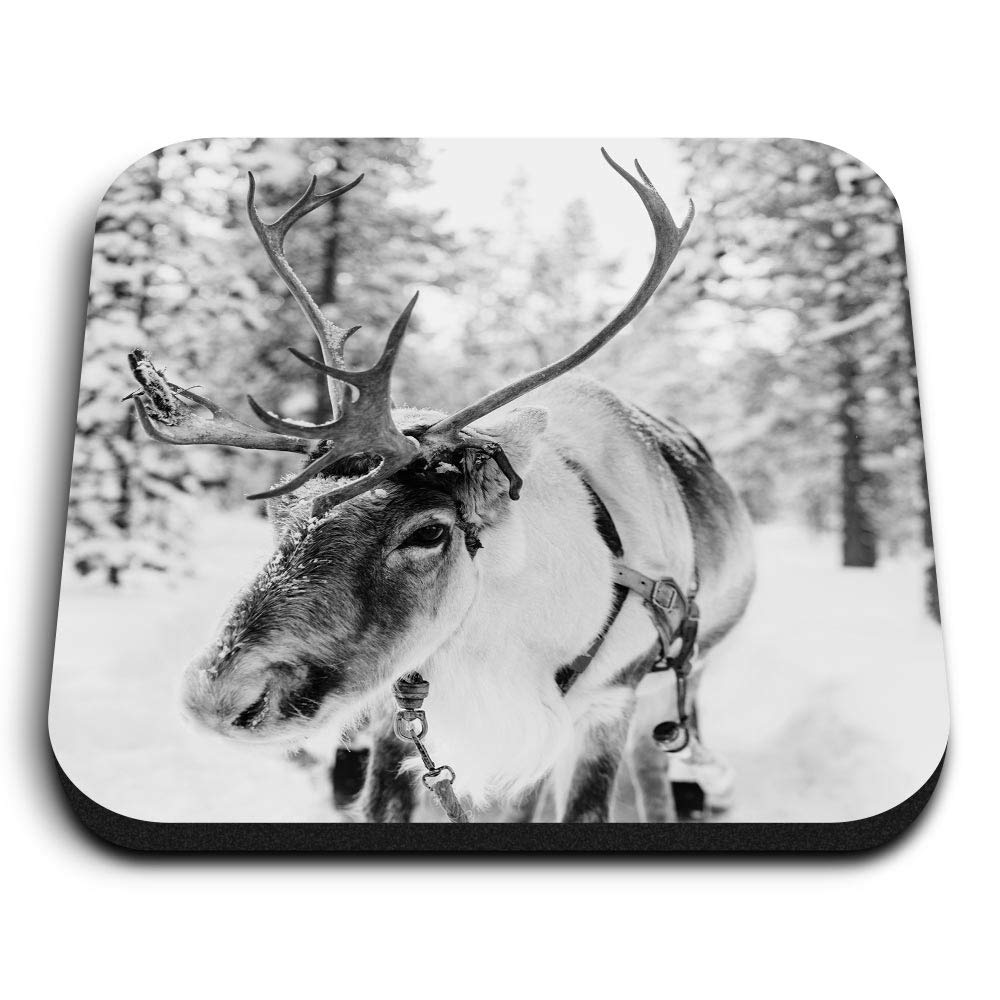 Destination Vinyl Ltd Multicolor 1 X Square Mdf Fridge Magnet - Lapland Reindeer Snowy Chrismas 37570