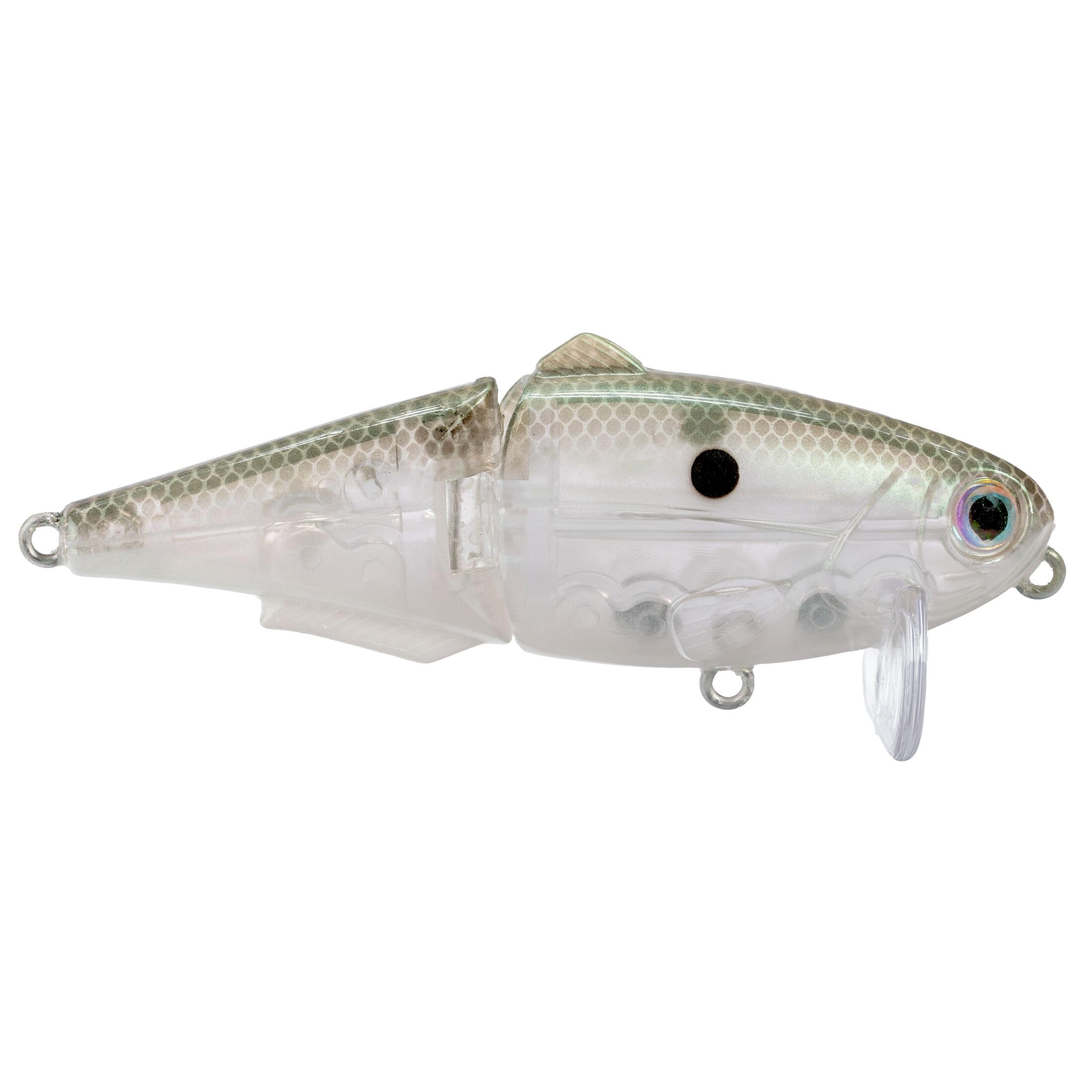 Strike King (HCWS2-568) Wake Shad Angelköder, Einzelgelenk, schwimmender Topwater Wakebait, Größe 2, Drillingshaken, grüner Gizzard Shad