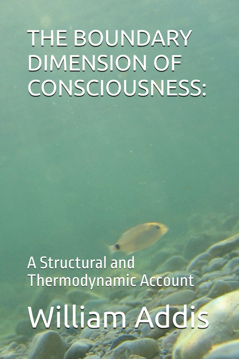 THE BOUNDARY DIMENSION OF CONSCIOUSNESS:: A Structural and Thermodynamic Account (Measuring Consciousness: An Empirical Account)