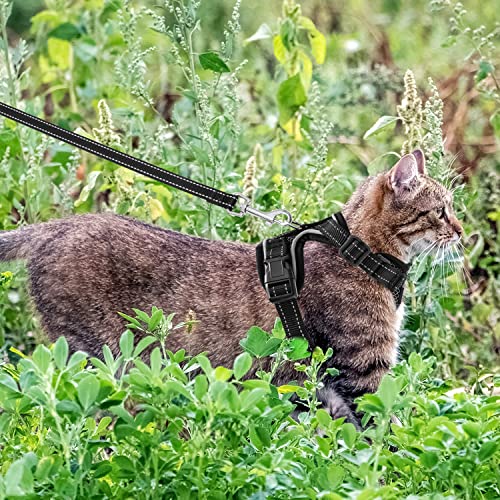 Orzechko Cat Harness And Leash Set- Escape Proof Reflective Cat Vest Harness For Walking Training Travel Hiking Outdoor - Adjustable Soft Mesh Breathable Pet Harness Comfort Fit Cats, S #TOP5