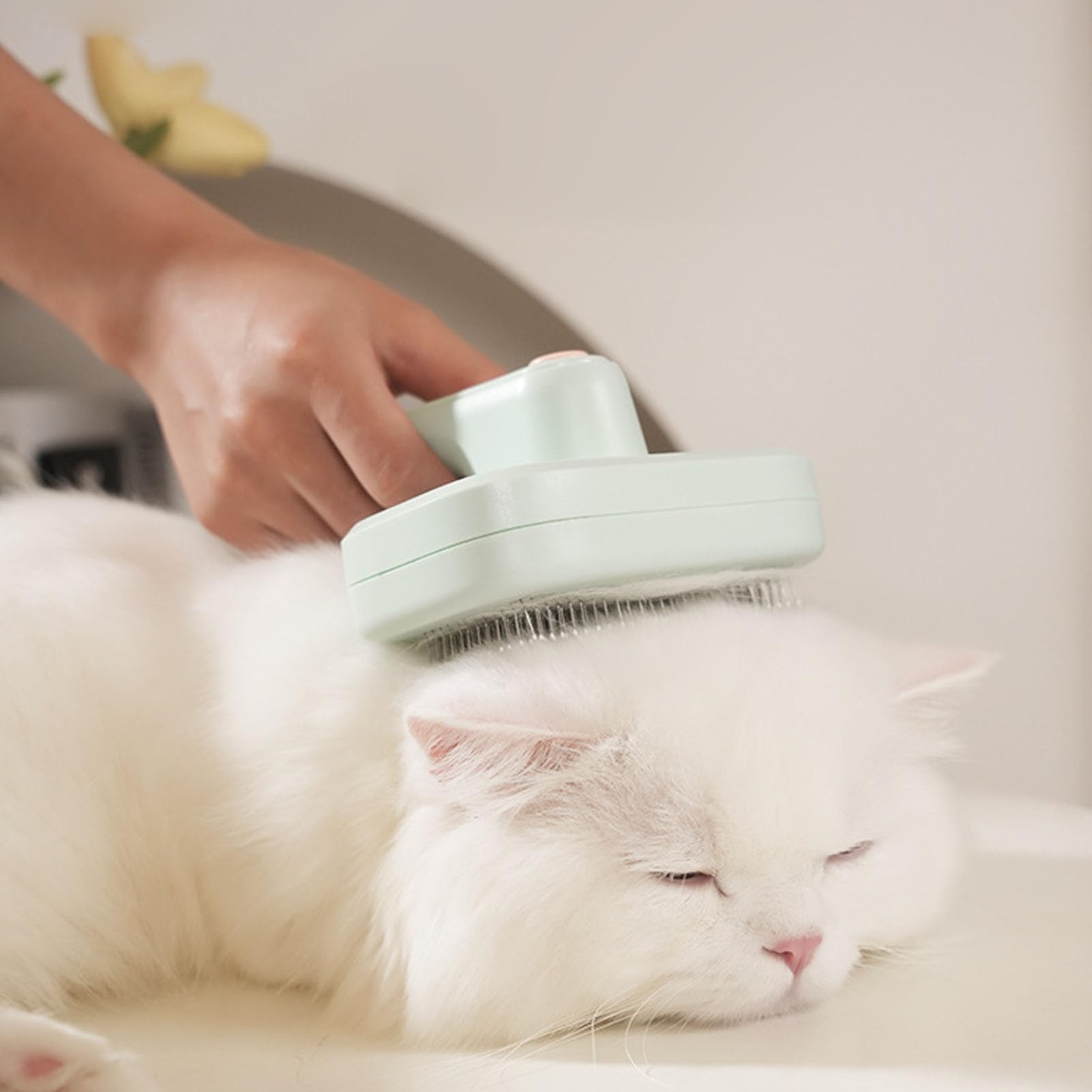 Cepillo para quitar pelo de mascotas con función de autolimpieza y dientes de peine con pasador de iones negativos para depilación con efecto de masaje para gatos y perros (Verde)