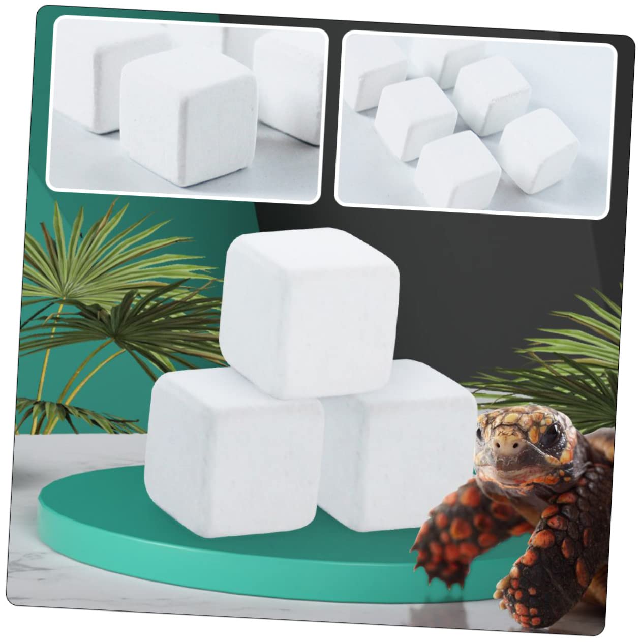 Mipcase 50piezas Bloques De Calcio Natural para Tortugas y Reptiles Minerales Esenciales para Acuarios y Terrarios Suministro De Calcio Seguro y Duradero