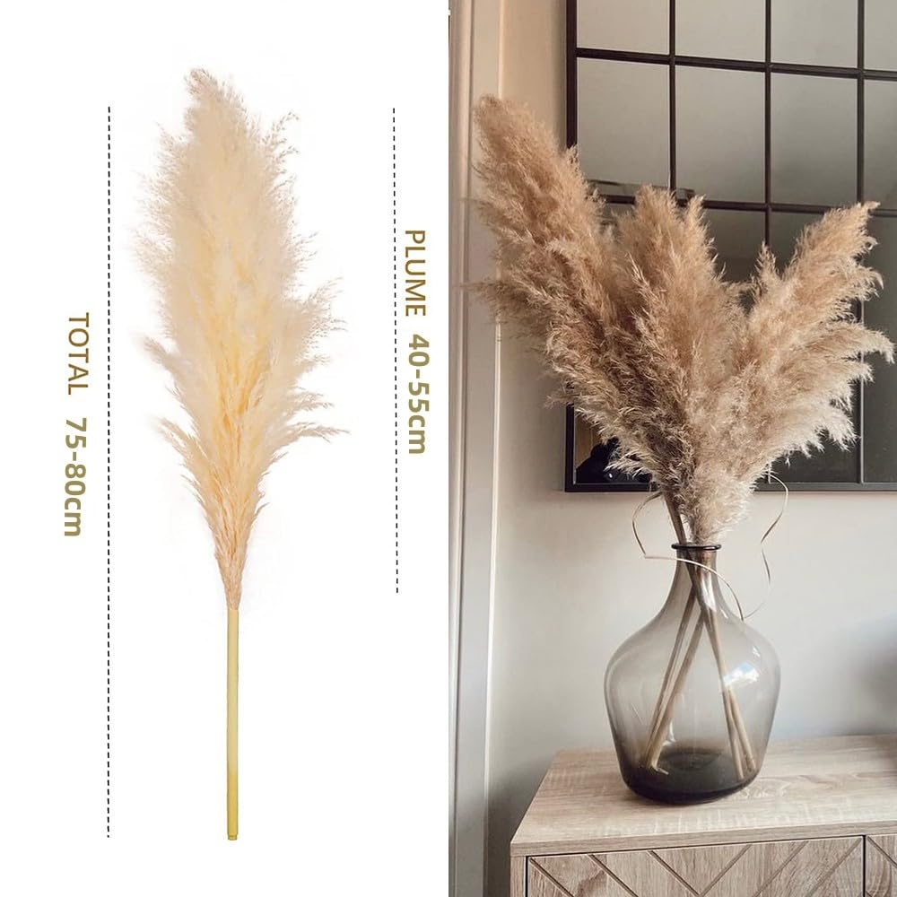 Pampasgras Deko Pampasgras, 80 cm, groß, flauschig, getrocknete Pampasblume, Weihnachtsdekoration for Zuhause, Hochzeit, Familie, Gartenparty Trockenblumen(5pcs)