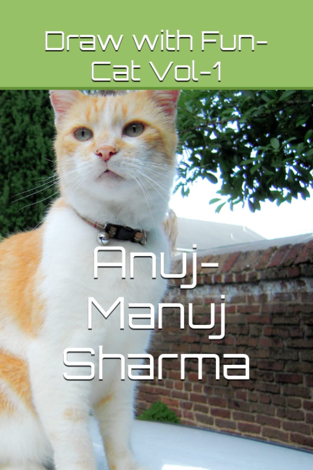 Draw with Fun-Cat Vol-1