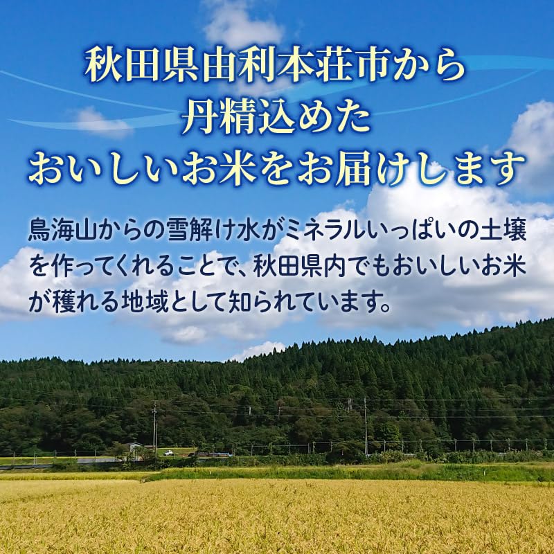 Amazon.co.jp: 令和7年産【玄米】秋田県産 ひとめぼれ 10kg 自慢のお米
