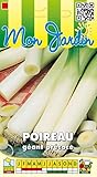Sachet de graines de Poireau géant précoce - 4 g - légume bulbe - LES GRAINES BOCQUET