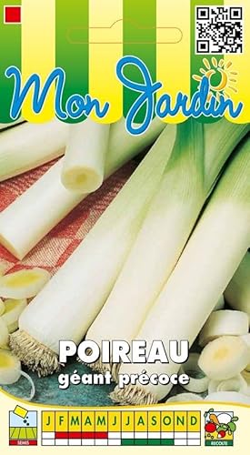 Sachet de graines de Poireau géant précoce - 4 g - légume bulbe - LES GRAINES BOCQUET