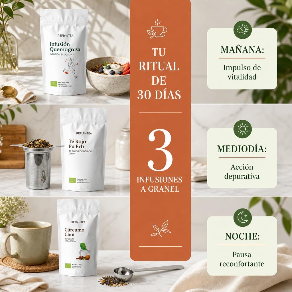 REPLANTEA Zestaw 3 naparów Slim luzem – Detox Depurtive and Drenant Herbata – 30 dni leczenia dla Twojego dobrego samopoczucia – filtr zaparzający i miarka ze stali nierdzewnej w zestawie