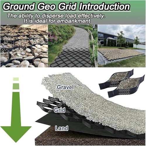 View 6
