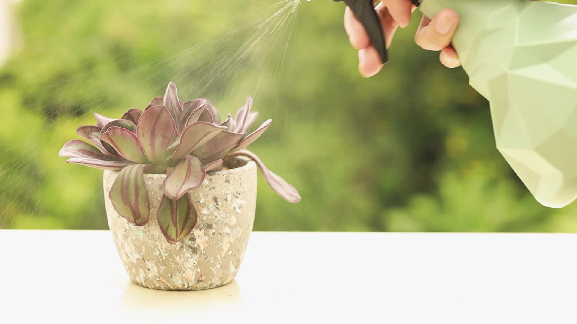 Amazon.co.jp: T4U セメント鉢 多肉植物鉢 サボテン鉢 3号鉢