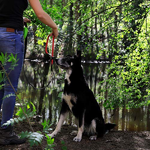 lionto Hundehalsband aus strapazierfähigem Nylon für Hundetraining, Länge 45 cm, 1 cm Dicke, Zugstopp Halsband für Hunde, Lederimitat mit Metallring & Anpassung durch stufenlosen Schieber, rot