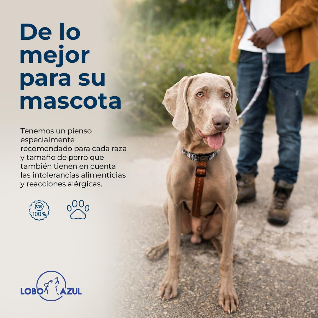 Pienso Natural para Perros Adultos - Comida Completa y Equilibrada con Cordero, Pato y Atún - 15kg Lobo Azul Adult Diario