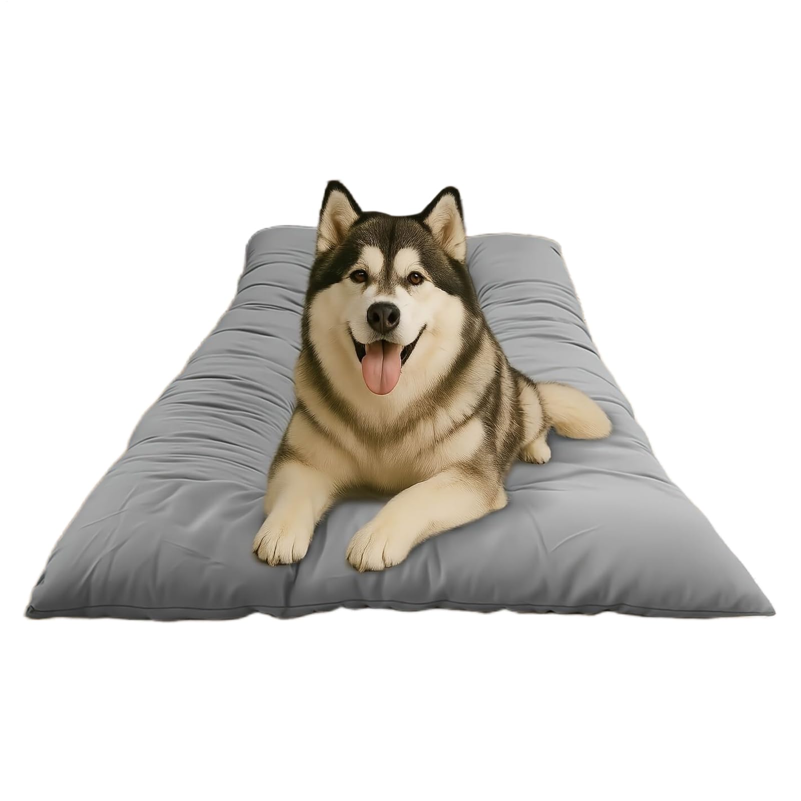 Coussin rafraîchissant imperméable pour chiens contre le stress du vétérinaire