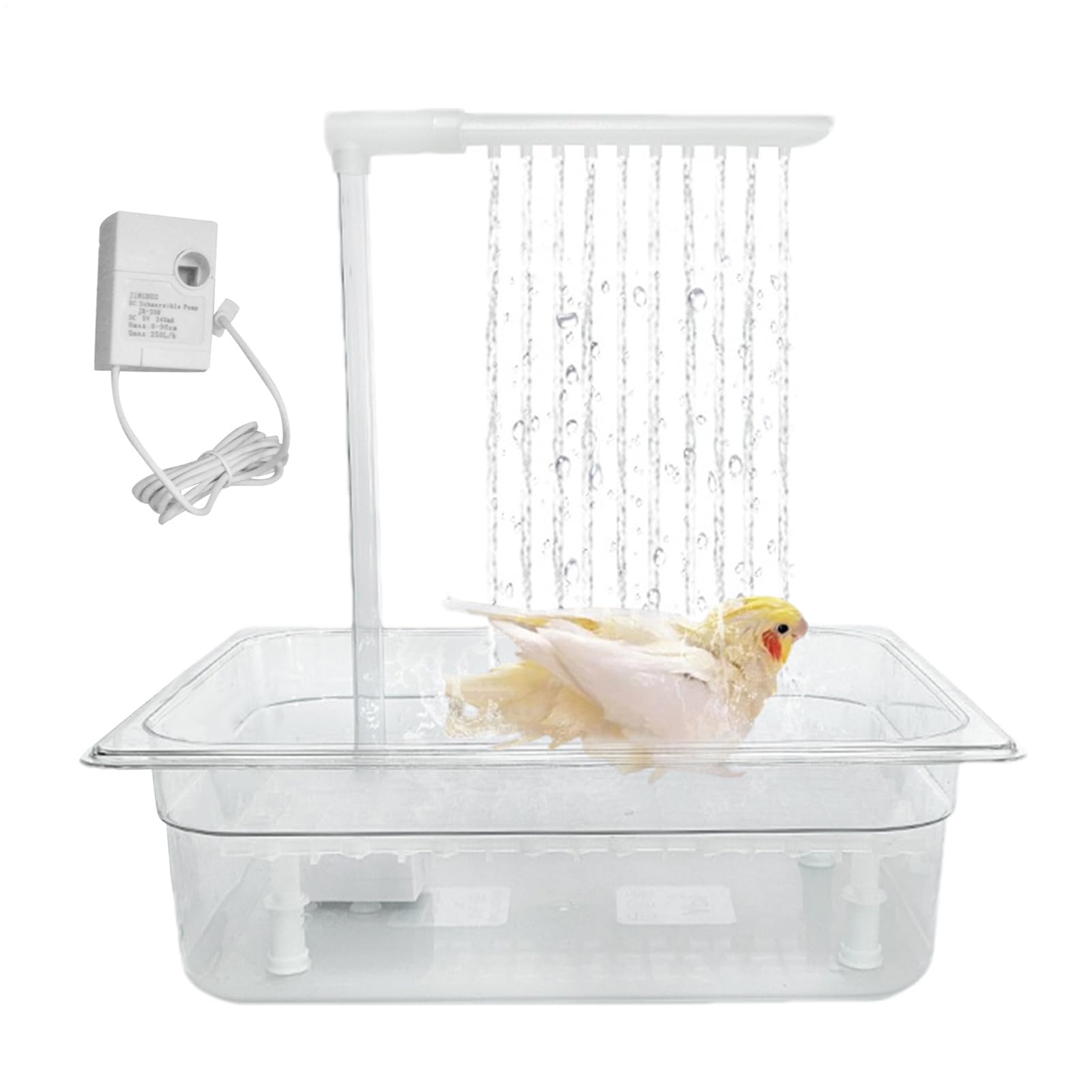 Automatique pour Oiseaux Douche Hydrique pour Perroquets avec Ecoulement