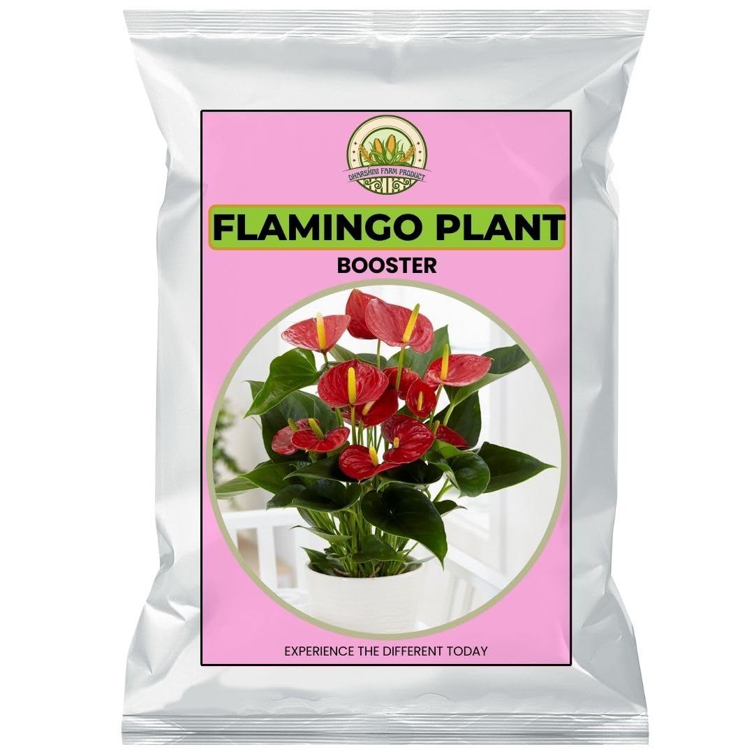 1KG| ANDRAEANUM FLAMINGO FLOWER PLANT FERTILIZER |Anthurium Red | Miniature Variety | Essential Fertilizer for Growth & Green Leaves | Nouriish Your Palms for Vibrant Growth| Sign Of Luck (B0D9S795ZK) Amazon Price History, Amazon Price Tracker