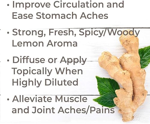 Miniatura 2 de Plant Therapy Aceite esencial de CO2 de raíz de jengibre 100% puro, sin diluir, aromaterapia natural, grado terapéutico, 1.0 fl oz (1 oz)