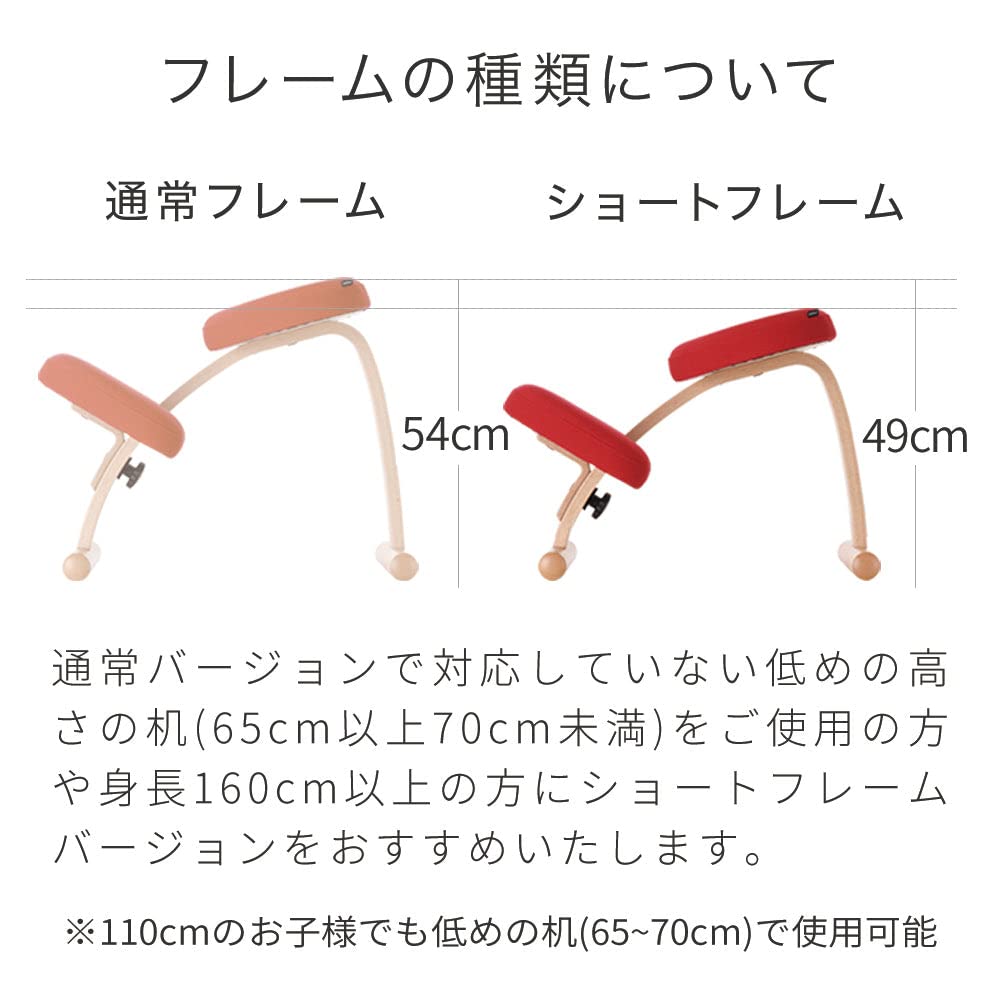 バランスチェア イージー ライトグリーン Amazon.co.jp: バランスチェア イージー ライトグリーン コラル