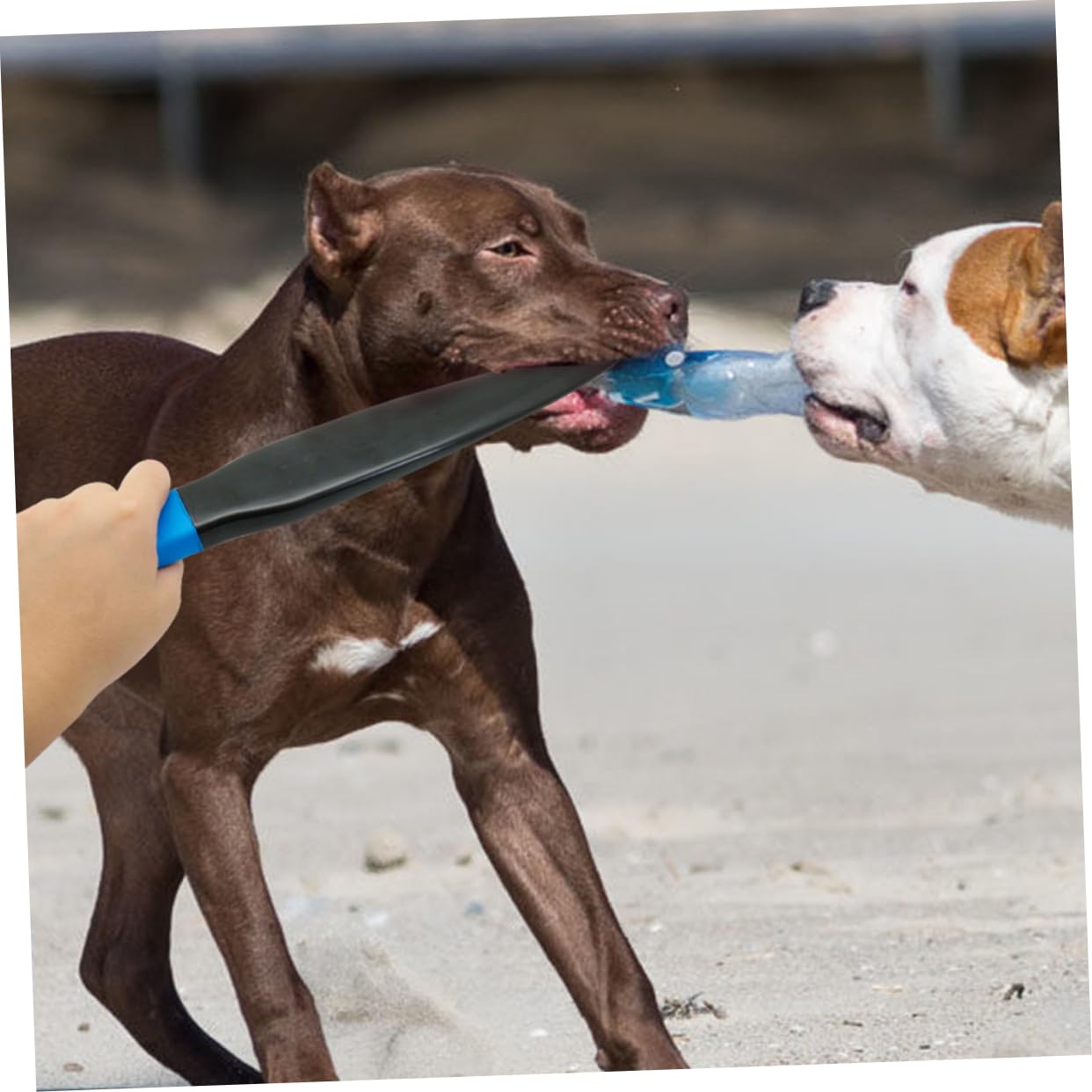 FOMIYES 2pcs Dog Stick Tool for Nylon Biting Stick Aggression Prevention Training Chew Toy