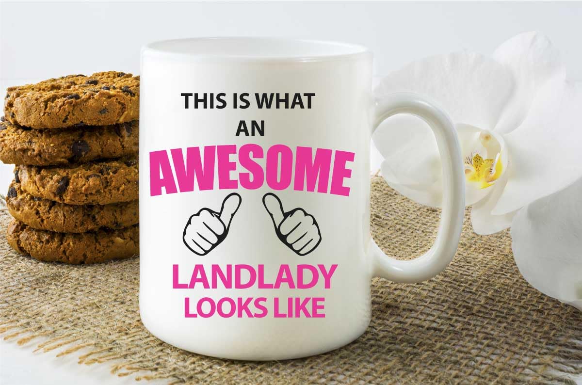 60 Second Makeover Limited This is What an Awesome Landlady Looks Like Mug Boyfriend Girlfriend Friend Husband Wife