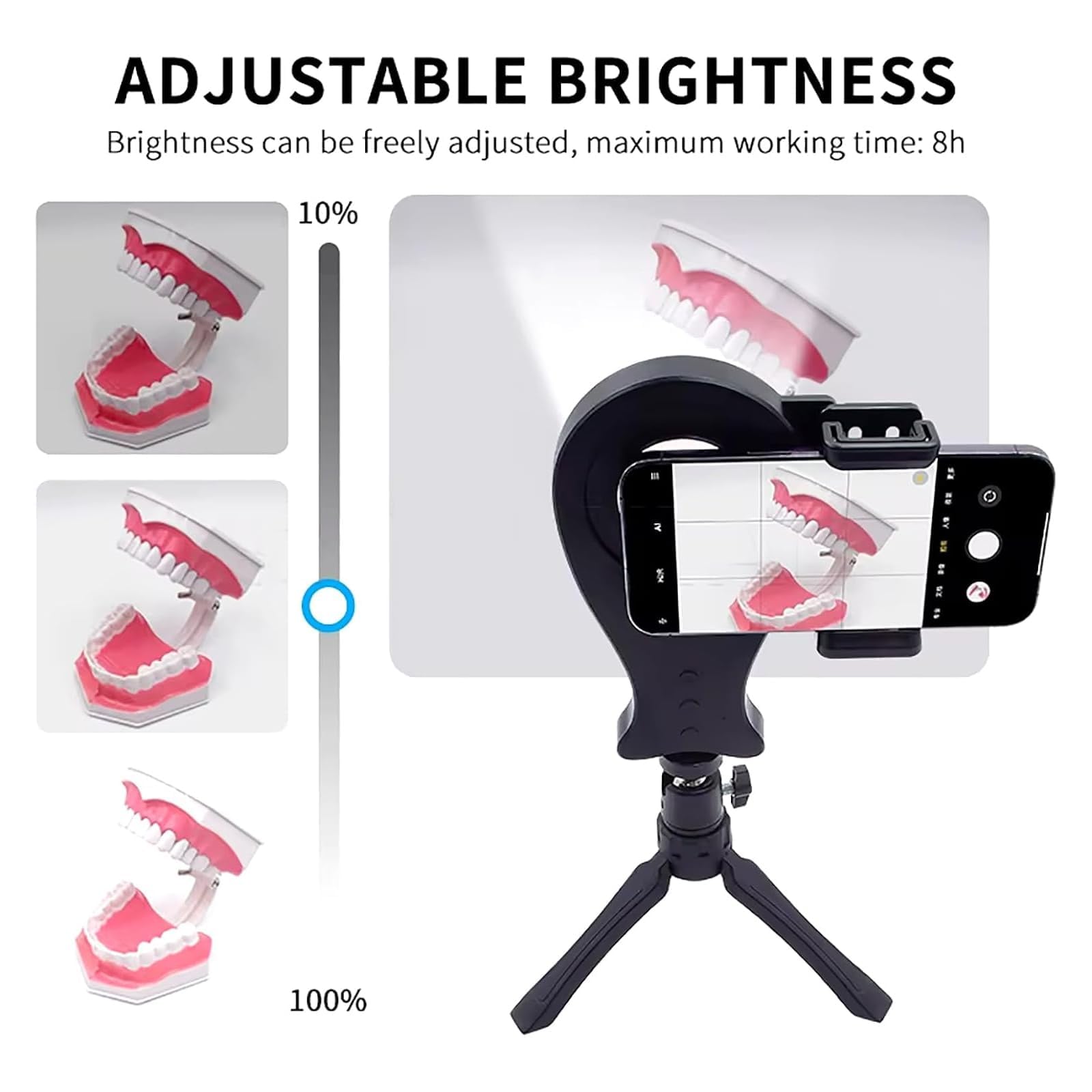 Luce per fotografia dentale con treppiede, luce di riempimento a LED regolabile a 360°, temperatura colore 3800K-6200K e controllo della luminosità per cliniche e ospedali