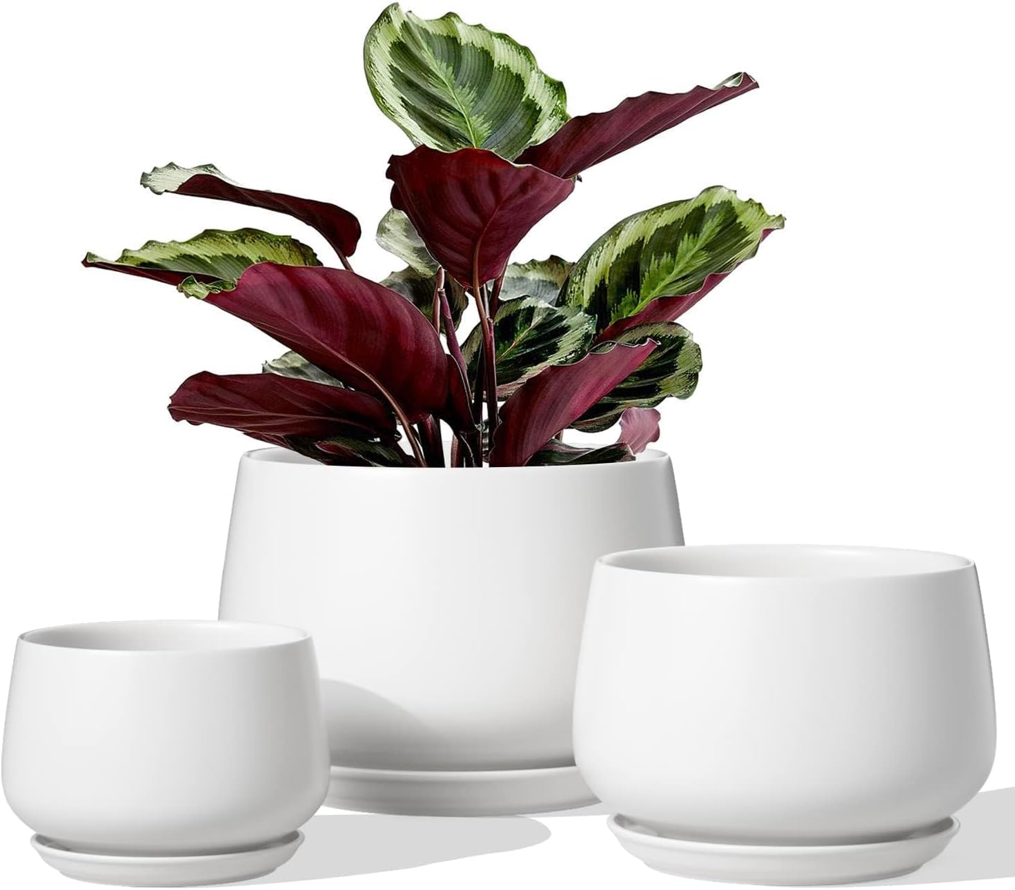 Ceramic Plant Pots, 4.1+5.1+6.5 inch, Set of 3, Planters with Drainage Hole and Saucer, Indoor Flower Pot with Hole Mesh Pad, Gifts for Mom, White