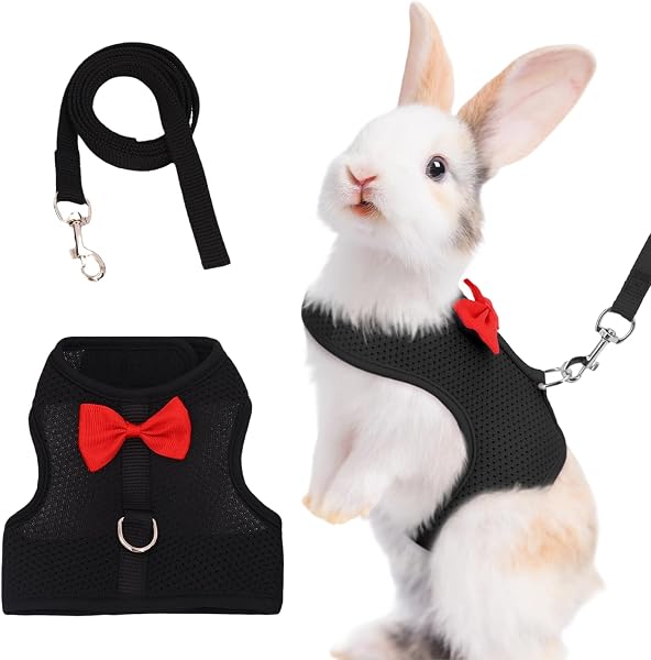 LOMSUXA Guinzaglio Per Coniglio Nano, imbracatura con guinzaglio, Accessori Conigli, Stoviglie Con Guinzaglio, Pettorina Regolabile, pettorina coniglio nano(Nero, M) - 1
