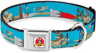 Buckle-Down Seatbelt Buckle Dog Collar - Road Runner/Wile E. Coyote Scene2 Desert - 1