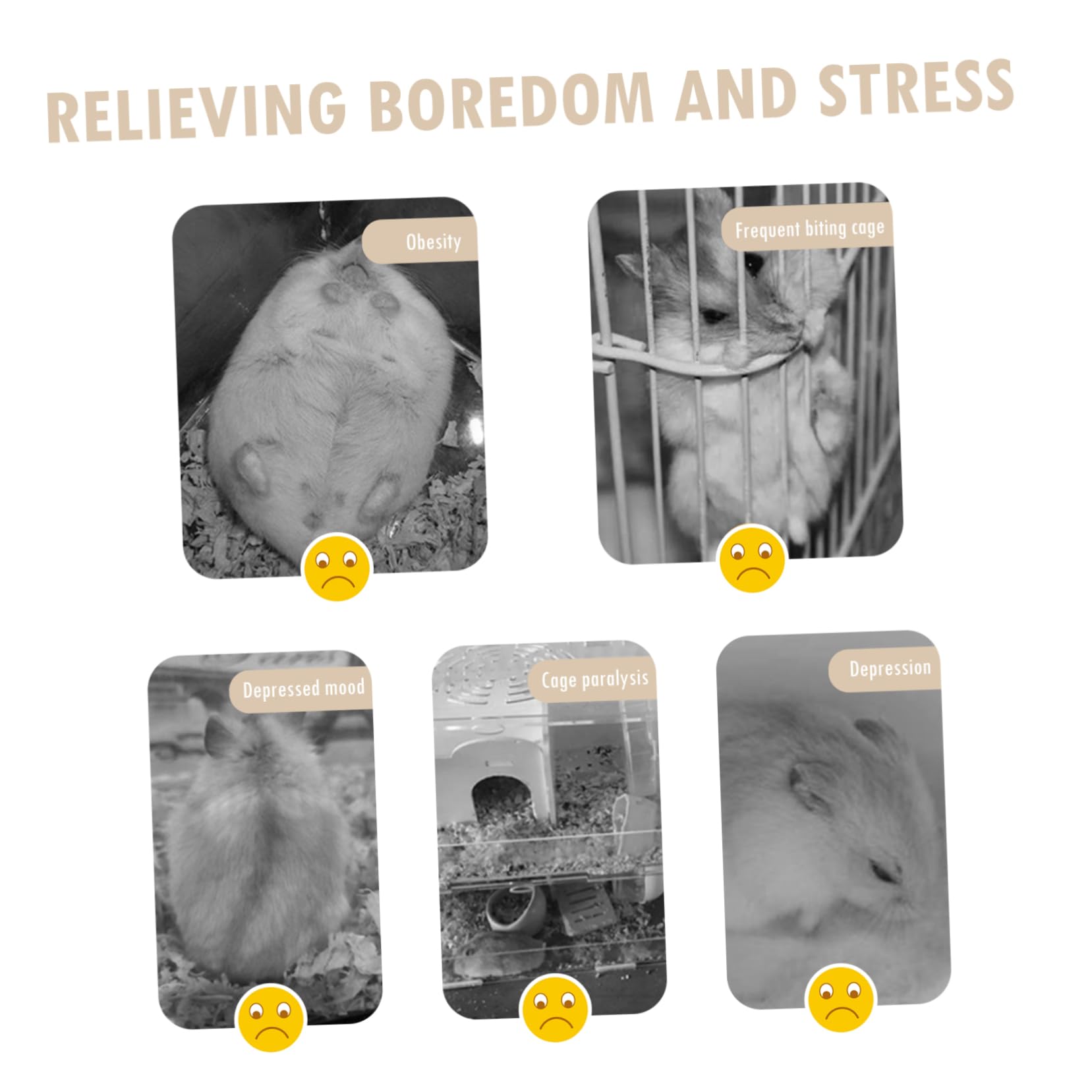 ibasenice Rueda Silenciosa para Hámster con Soporte de Madera Accesorio de Plástico para Pequeños Roedores Ejercicio para Mascotas Pequeñas como y Erizos Diseño Duradero y Transparente