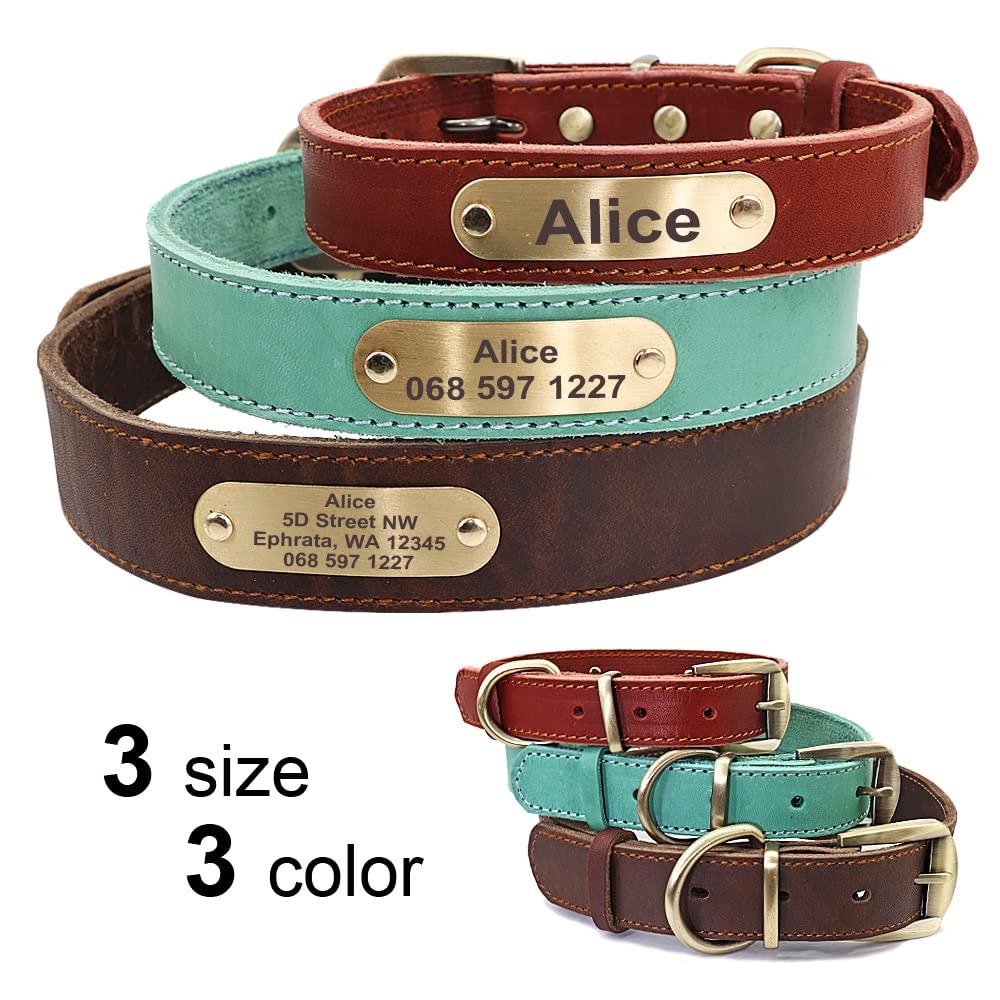 Collier personnalisé en Cuir pour Chien,Collier Personnalisé en Cuir,Cadeau Personnalisable,Collier réglable pour Animal de Compagnie pour Chiens de Petit Moyen Grand (Red Set,L)