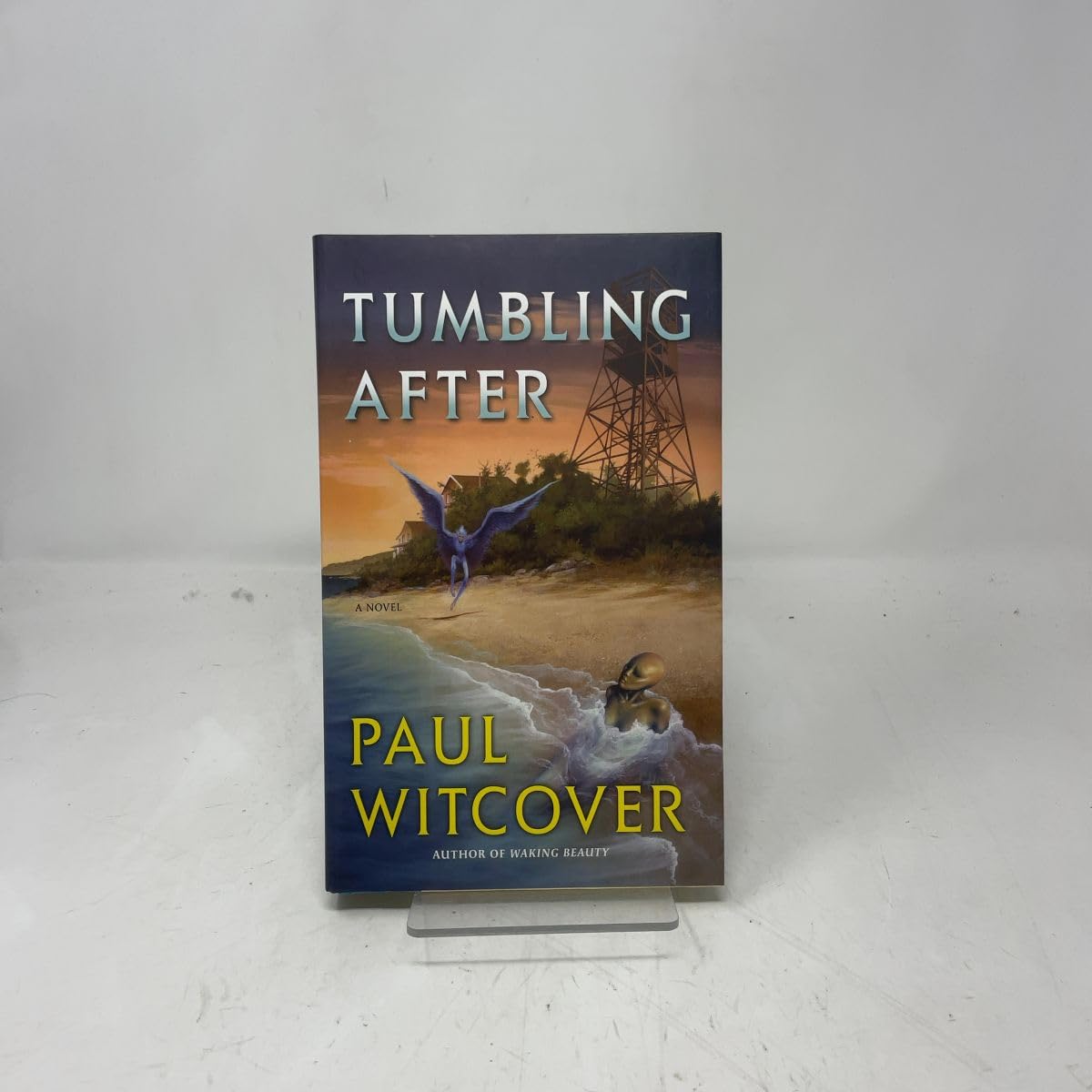 Buy Tumbling After: A Novel — BookShops.in