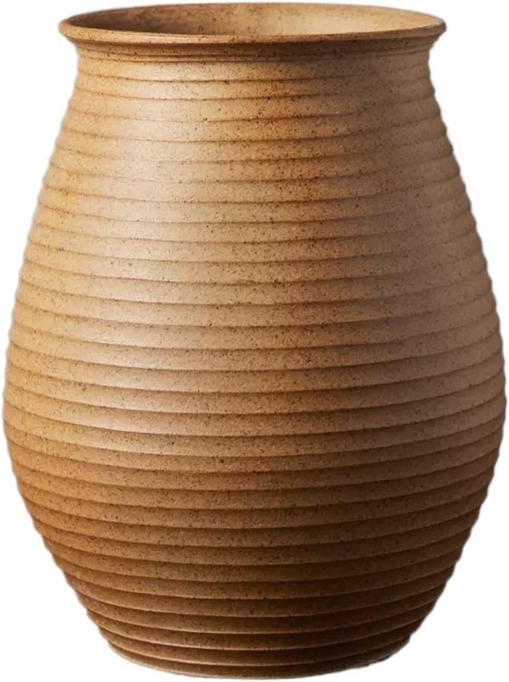 オリーブの木　ルッカ　10号　約200cm　K-291　人気品種　現品掲載 オリーブの木 ルッカ 10号 約200cm K-291 人気品種 現品掲載 オリーブの