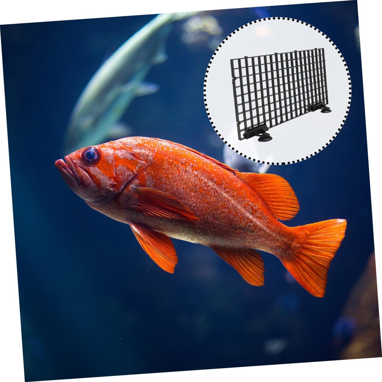 Mipcase 1Set Fish Tank Divider Panel for Isolation Multi Separator Durable Filtering Board for Aquarium Convenient DIY Design for Breeding Fish and