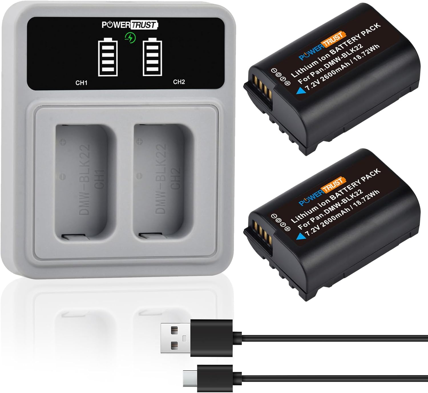 2-Pack DMW-BLK22 Battery and LED Dual Charger Compatible with Panasonic Lumix DC-S9 G9 S5 S5II S5IIX GH5II GH6 Cameras