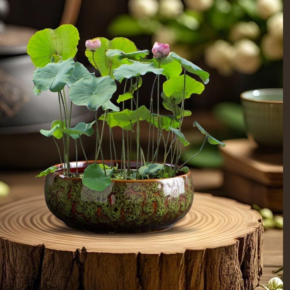 Ceramiczna miska do sadzenia lotosu do hydroponiki, wewnętrznego ogrodu wodnego, bonsai i nasion lotosu, stylowa zielona doniczka dla roślin