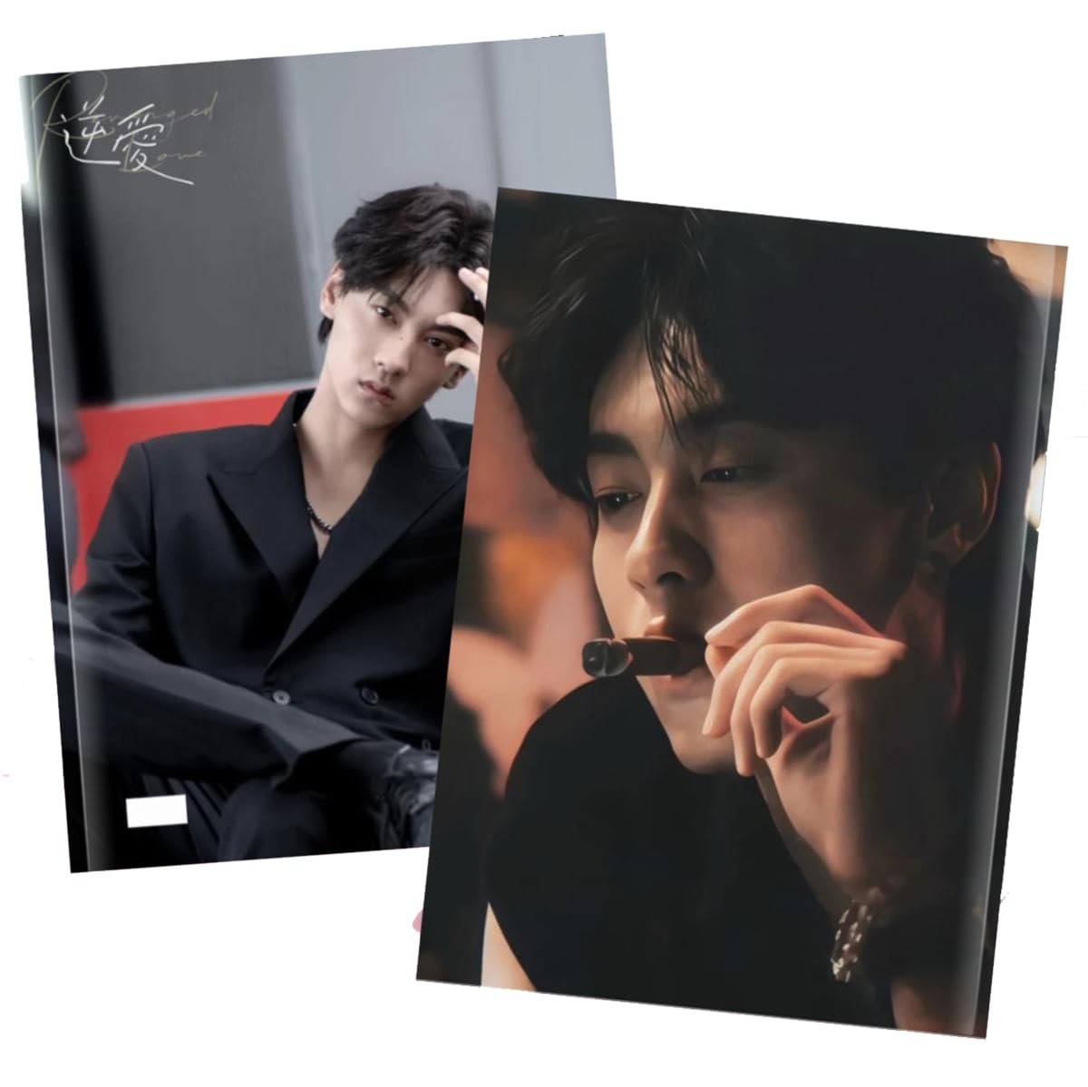 Amazon.co.jp: 写真 逆愛～Revenged Love～ 写真集 グッズ 中国BL