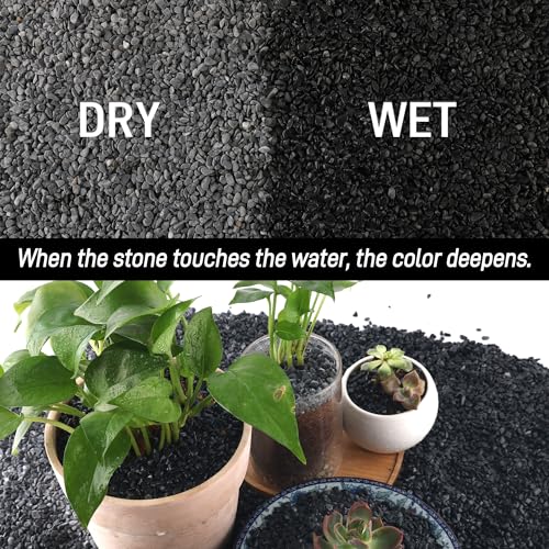 Image of 45lb Black Cactus Pea Gravel Rocks,1 /4 Inch Pebbles for Indoor Plants, Natural Succulent Rock and River Rocks Decorative for Aquariums, Vases, Outdoor Gardening, Top Dressing for Potted Plants